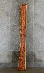 side_image_2